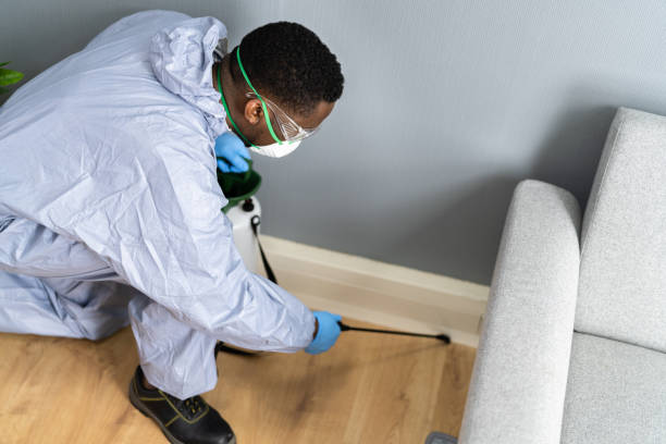 Best Real Estate Pest Inspections  in Joplin, MO